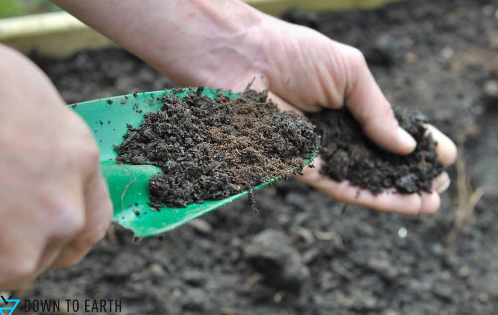 adding mulch and more to maintain your garden